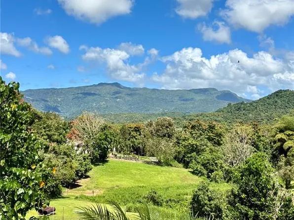 Bo Collores Carr 936 Km 1.0 Solar 1, Las Piedras, PR 00771