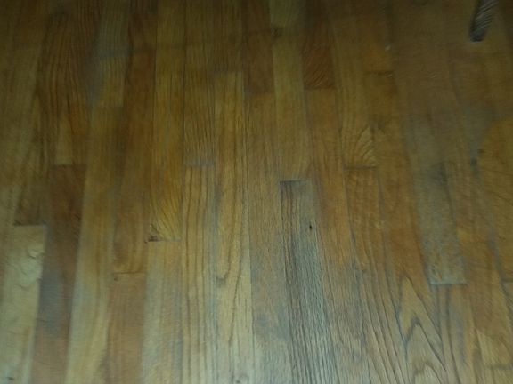 LR, BR, & hall floor