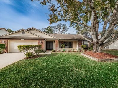 13101 Wyndale Dr Hudson Fl 34667 Zillow