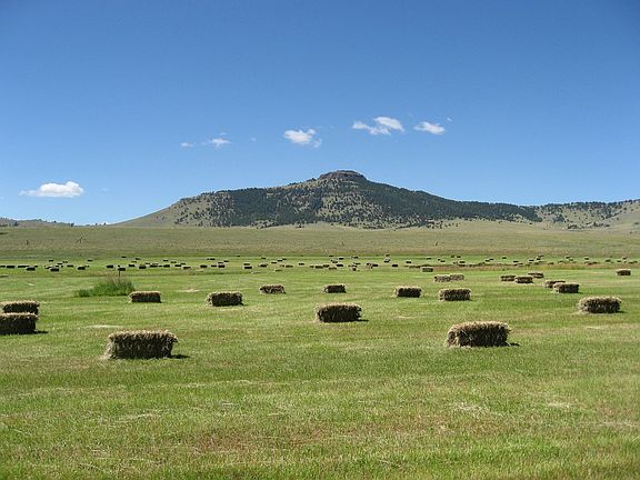4th image of 1071 County Road 71