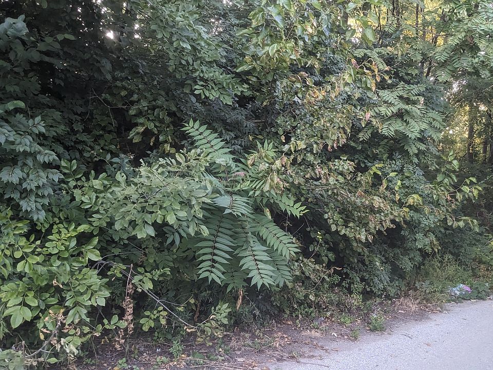 2nd image of 1544 Perkins Ave