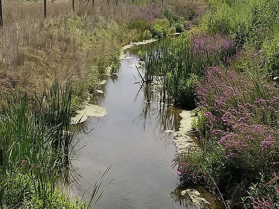 Creek runs through each lot.