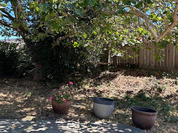 5th image of 1065 Langlie Way