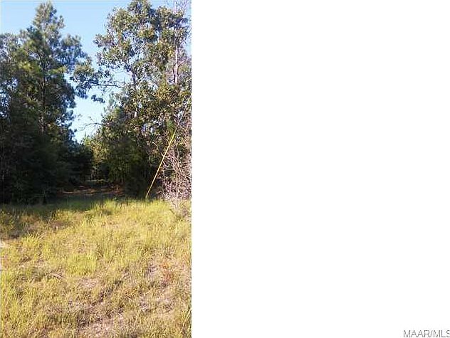 2nd image of 1649 County Road 81