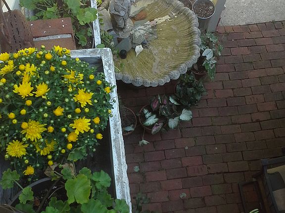 Fountain