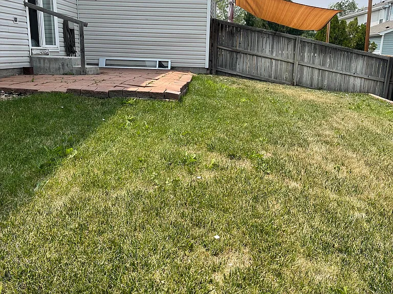 983 Canary Ct — Photo 14