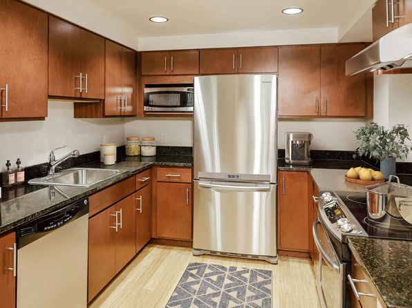 212 Washington Ave SUITE 1-0219