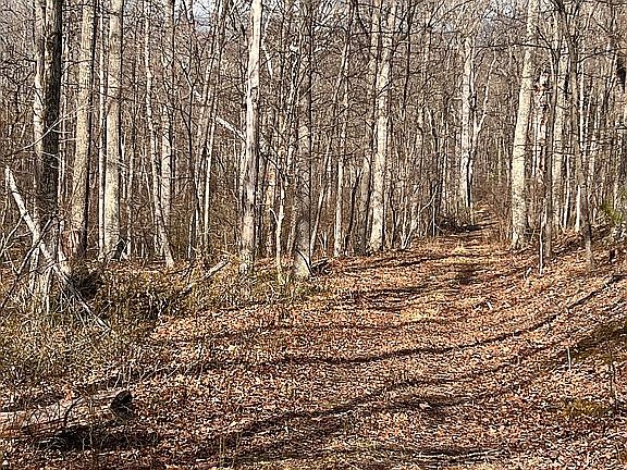 2nd image of 597 Middle Fork Rd