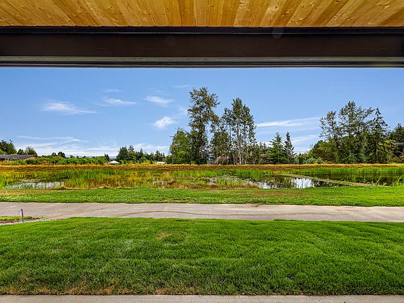 View from covered patio
