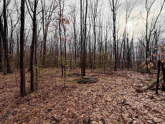 2nd image of 0 Old Walpole/Valley View Road