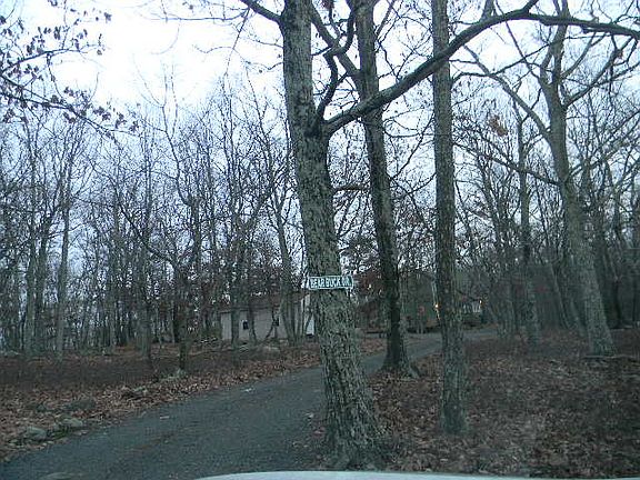 Half of the Very Long Drive