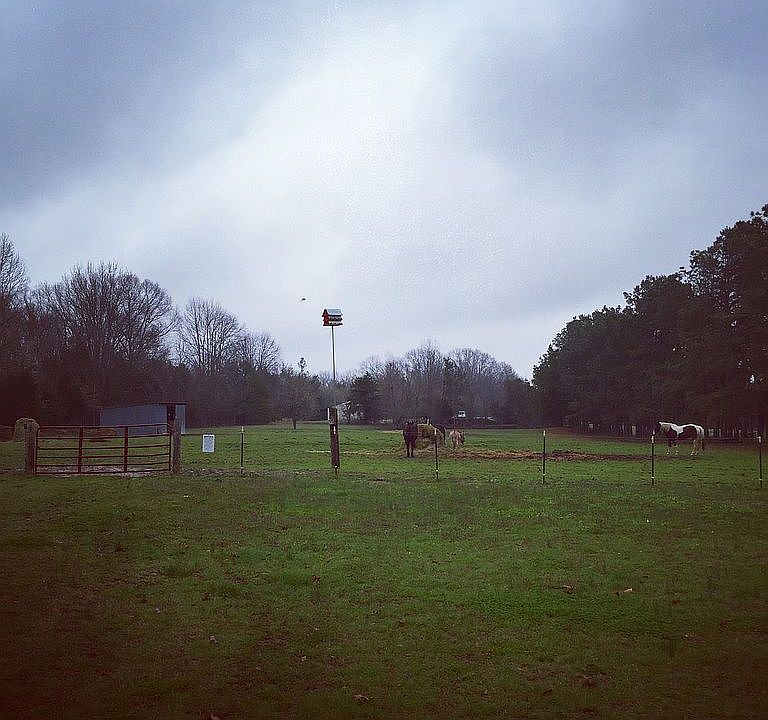 Fully fenced pasture