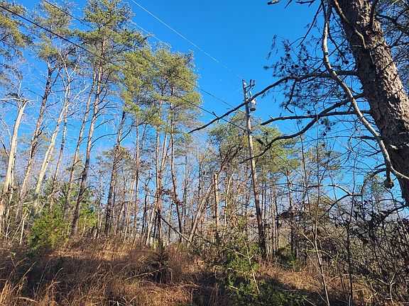 4th image of Woodline Dr