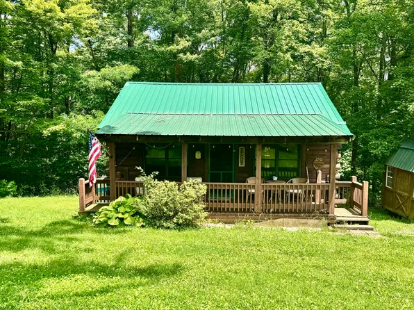 264 Persinger Rd, Canvas, WV 26662