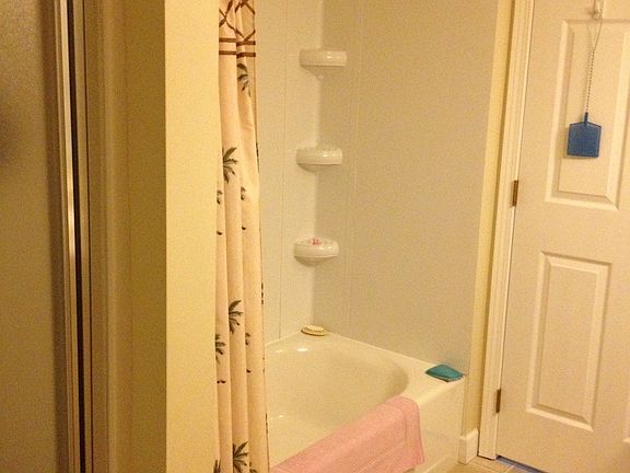 Master Bath Shower & Tub