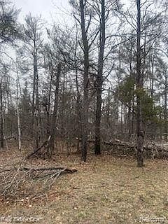 1st image of Big Creek Rd