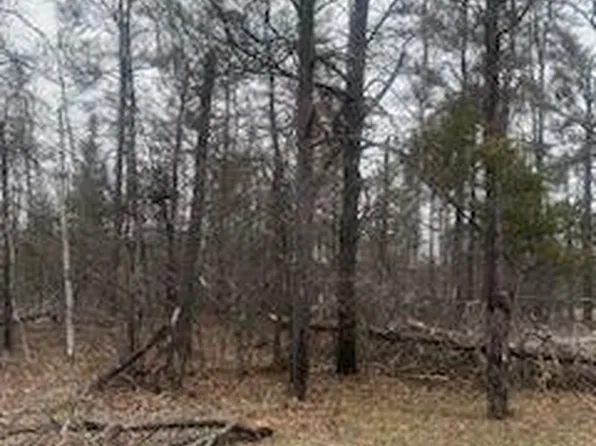 Big Creek Rd, Johannesburg, MI 49751