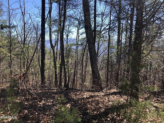 3rd image of 2 Chestnut Ridge Ct Lot 2