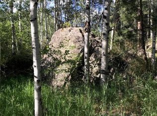 Crow Valley Rd, Bailey, CO 80421