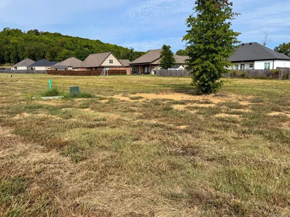 62 Wedgewood Dr, Greenbrier, AR 72058