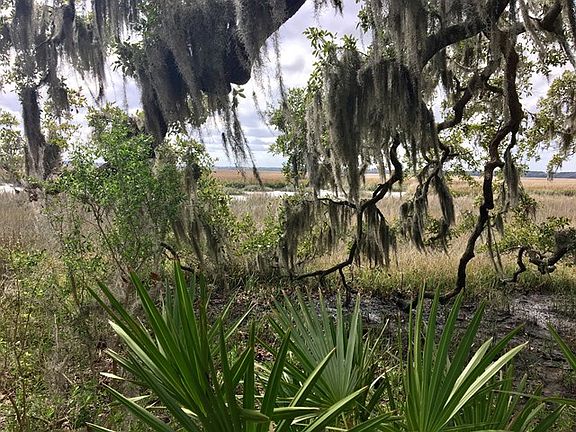 3rd image of 1209 W Shore Dr
