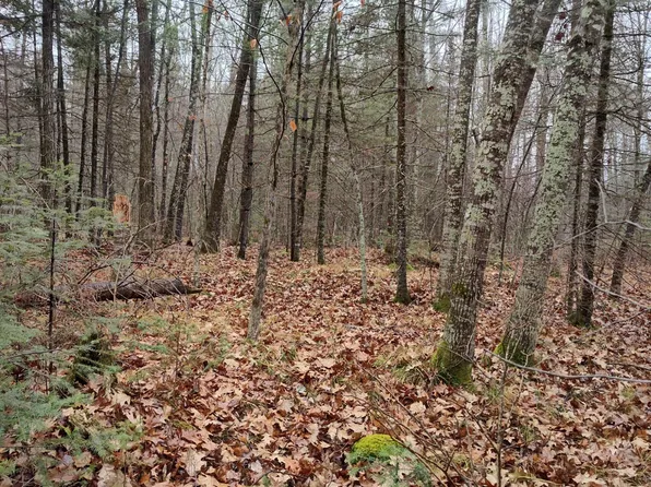 On Lake Rd, Monico, WI 54501