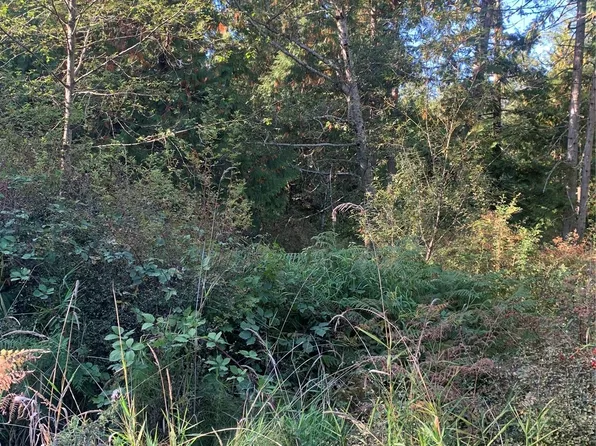 20 Harmon Ranch Road, Decatur Island, WA 98221