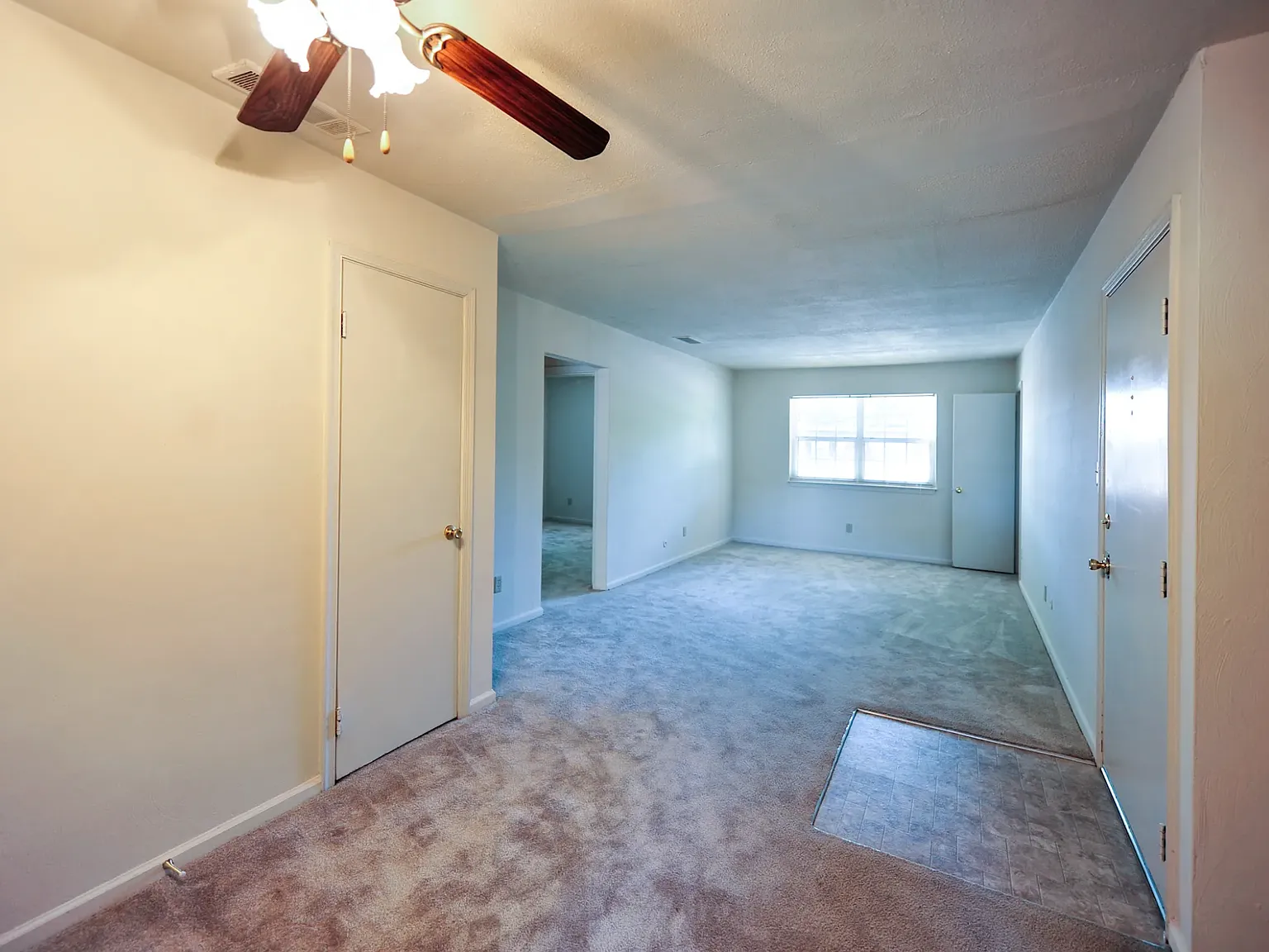 Brentwood Forest Apartments — Photo 4