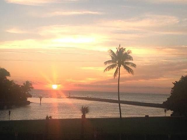 1099 S Ocean 202 S b