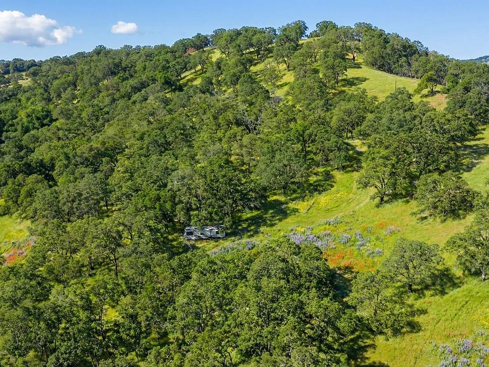 2nd image of 20 Longhorn Ridge Road