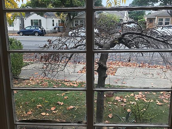 Large front room Window