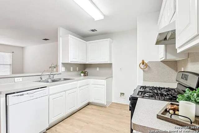 11007 Bluff Cyn — Photo 13