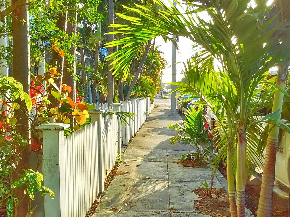 Street view from sitting porch. Meet the friendly locals walking their dogs or on their way to Fausto's