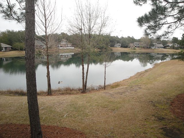 Patio View