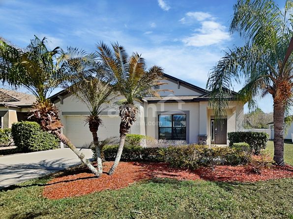 11640 Palmetto Pine St