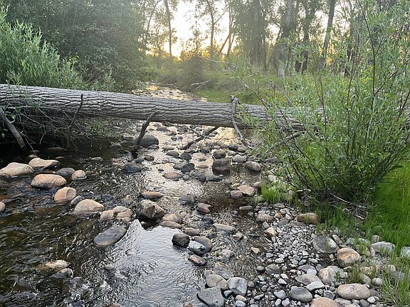 2nd image of County Road 332