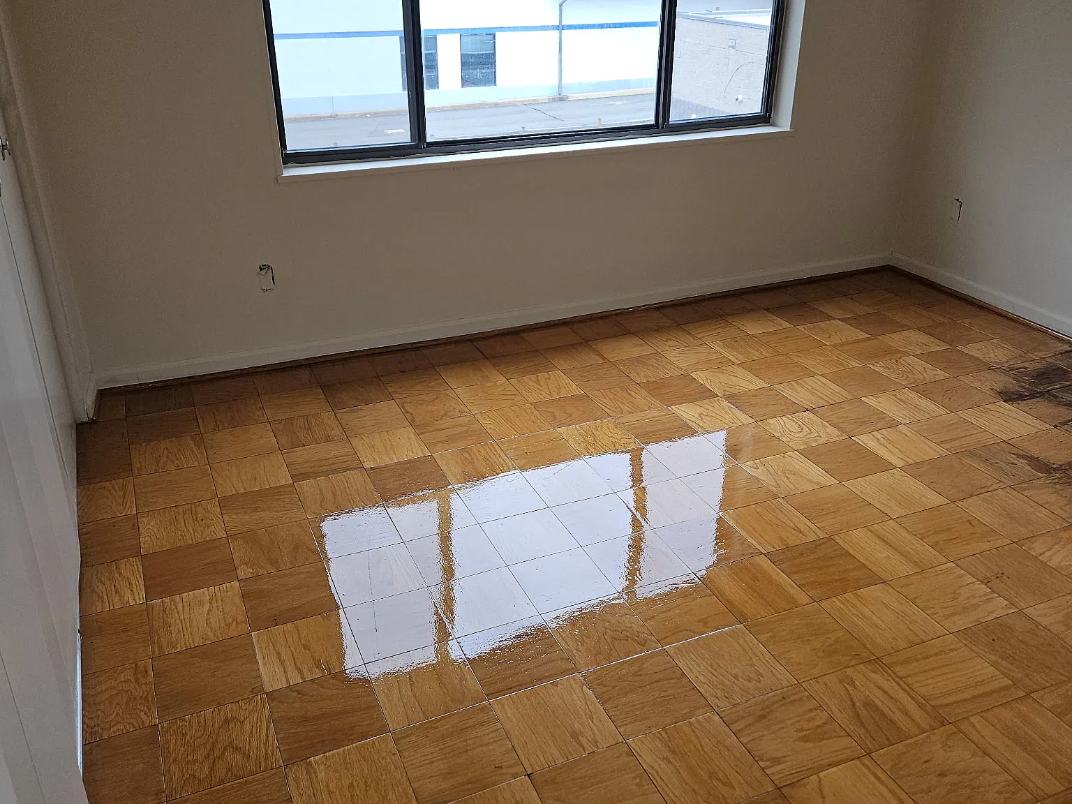 1 bed, 900 sqft, $1,850 — Photo 3