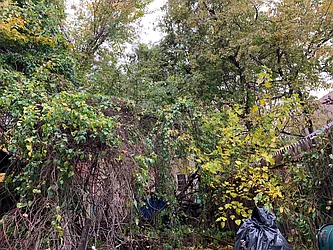 Rented by Gypsy Housing LLC