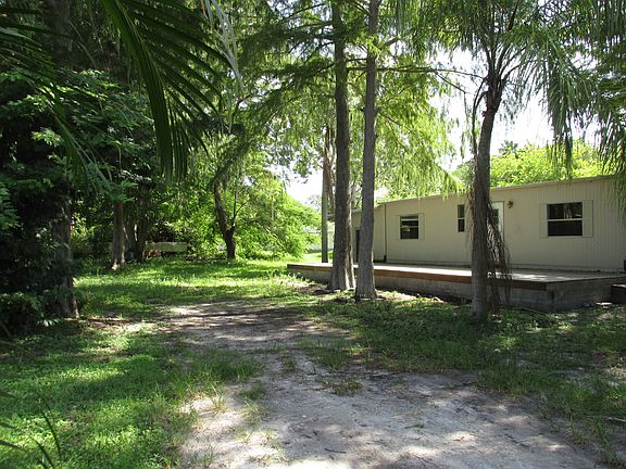 Giant Shaded Yard