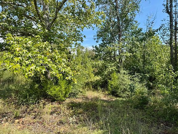 4th image of TRACT 5 Private Road 8385