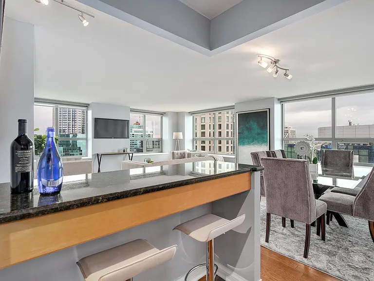 474 N Lake Shore Dr #5502 — Photo 9