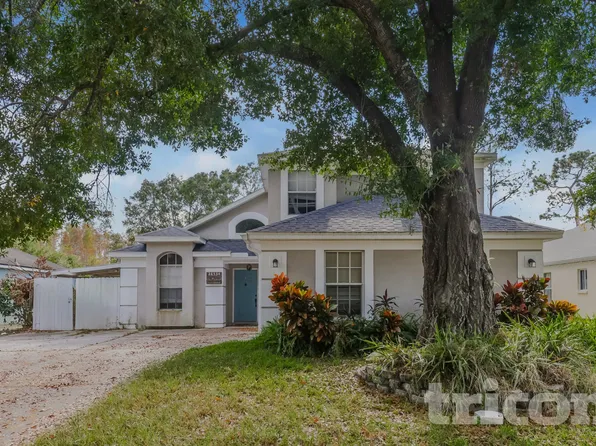 28534 Tall Grass Dr, Wesley Chapel, FL 33543