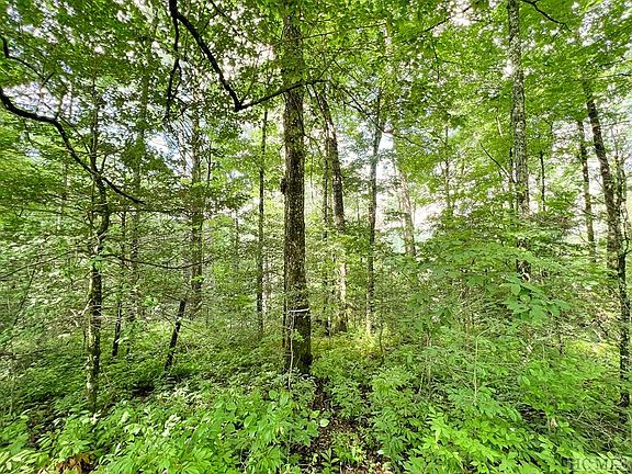 5th image of Lot 3 Runner Oak Lane