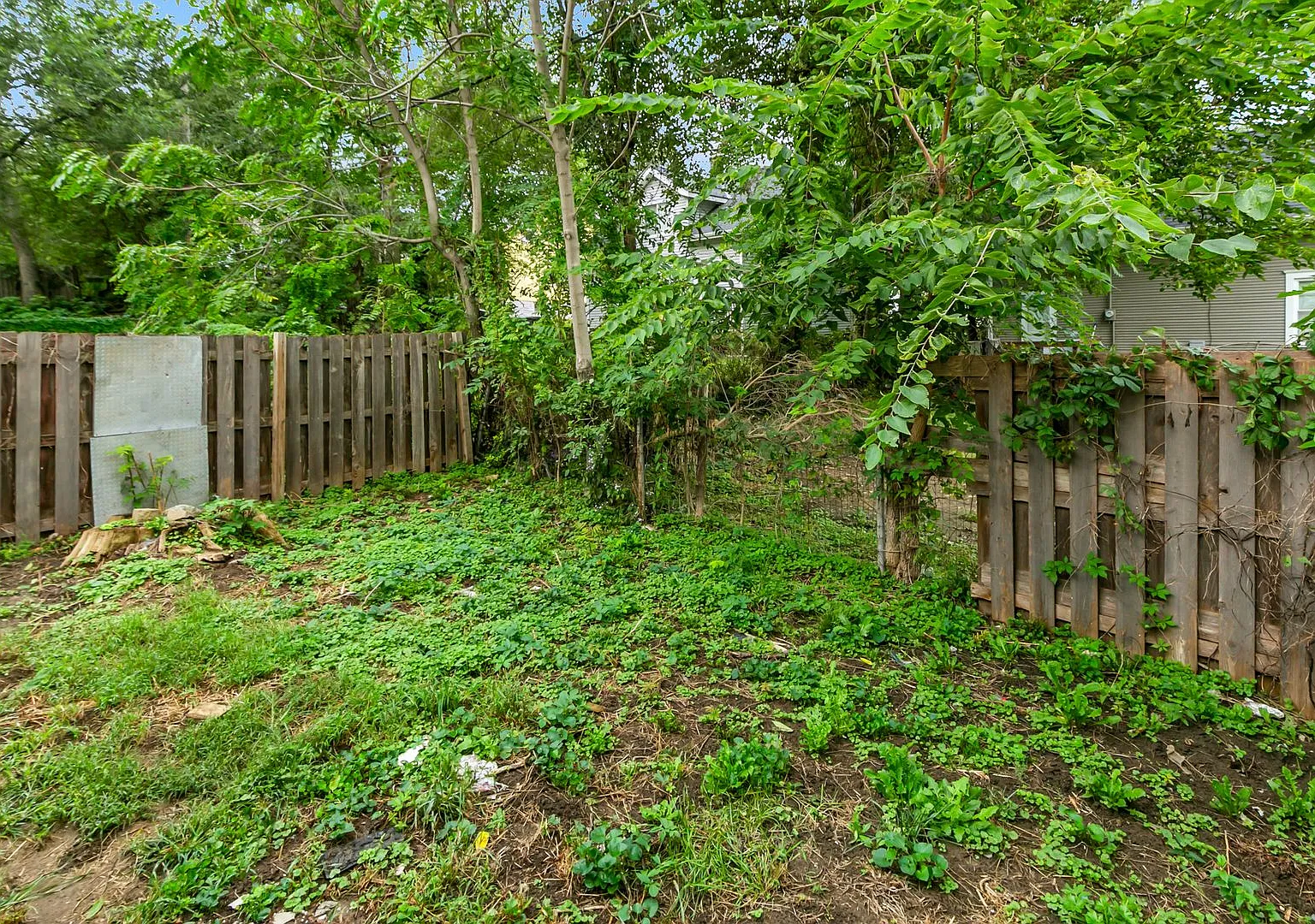 4252 Maple Street — Photo 3