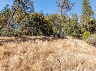 3551 Red Dog Dr, Camino, CA 95709