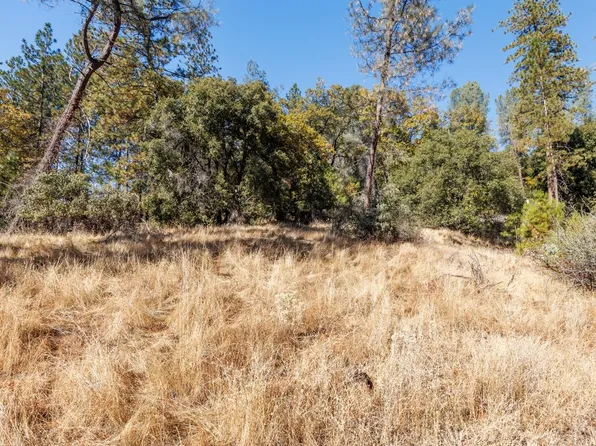 3551 Red Dog Dr, Camino, CA 95709