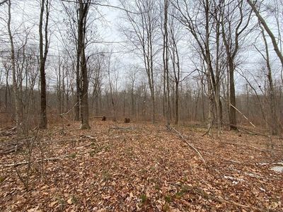 169 Beebe Rd #169, Monson, MA, 01057