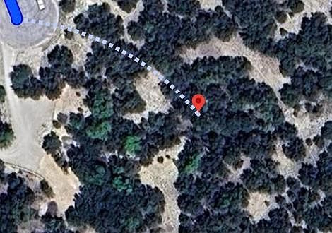 2nd image of 1004 Parton Rd