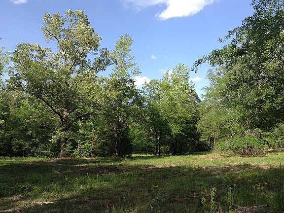 Clearing at front of acreage