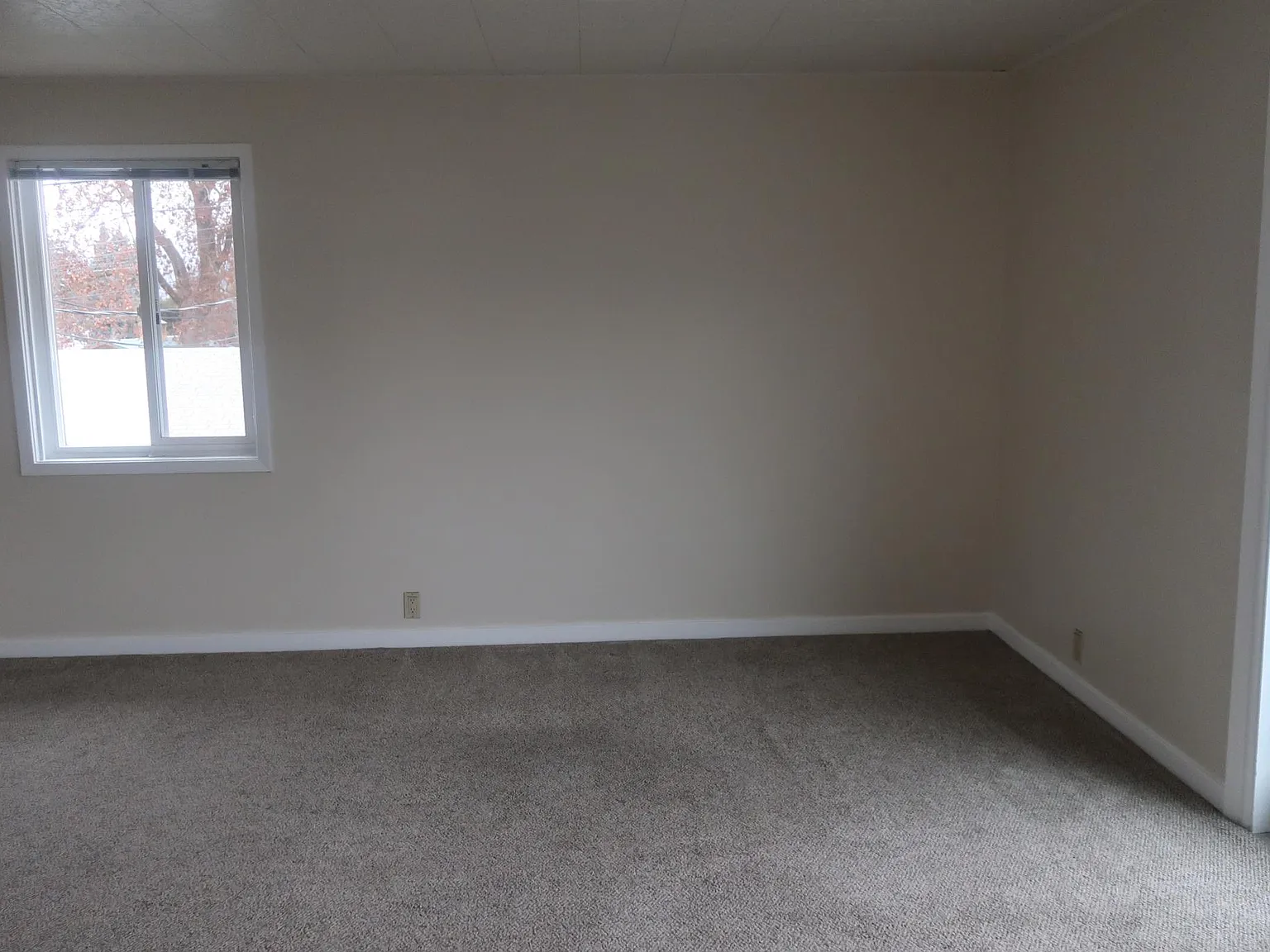 1 bed, 501 sqft, $1,300 — Photo 3